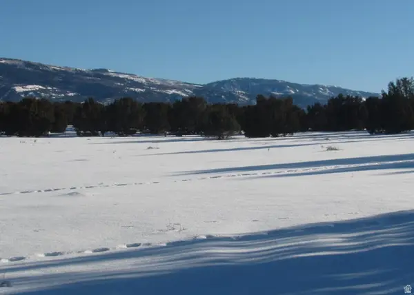 13800 N 6245 E #4, Spring City, UT 84662