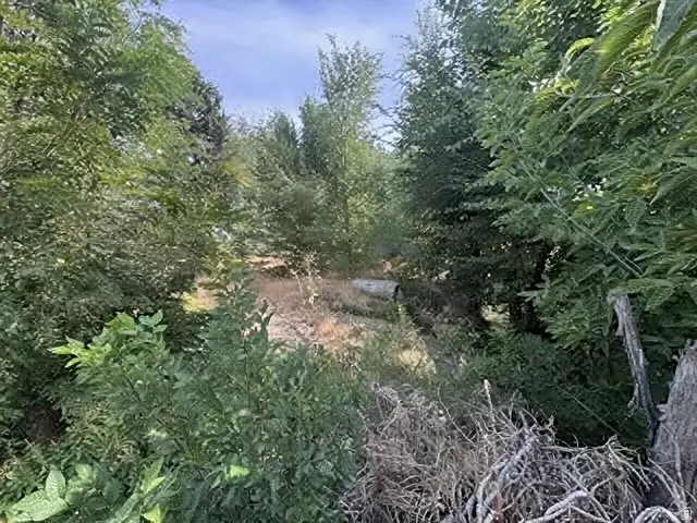 1648 E 4150 S, Salt Lake City, UT 84124 - #3