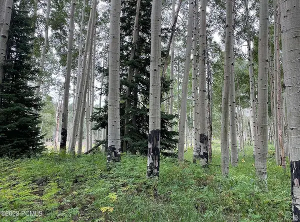 4410 Fawn Way #2038, Heber City, UT 84032