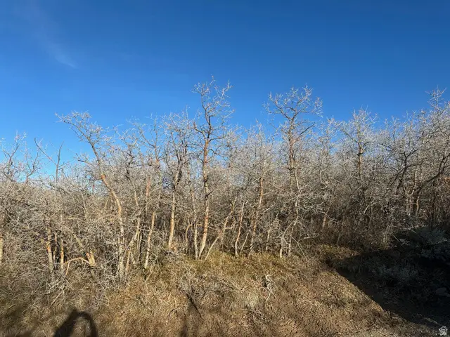 1707 S Cottonwood Ct #1210, Heber City, UT 84032 - #2