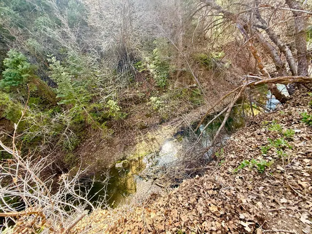 13780 Birch Creek Rd #D14, Fairview, UT 84629 - #3