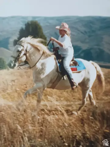 3388 N Oak Cyn #527, Huntsville, UT 84317