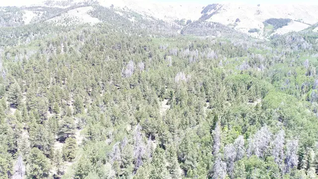 Address Withheld By Seller, Hanksville, UT 84734 - #2