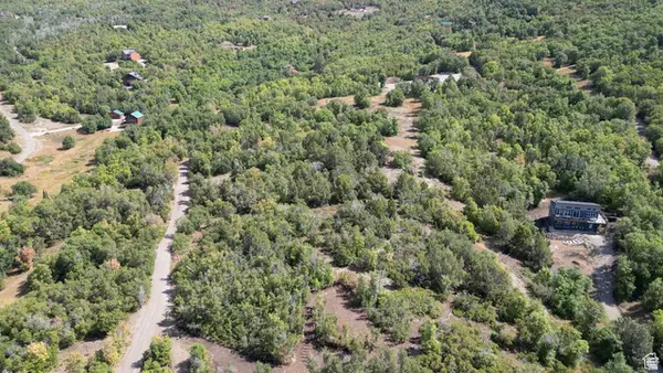 22045 N 14377 E #59, Fairview, UT 84629