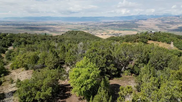 22045 N 14376 E #62, Fairview, UT 84629