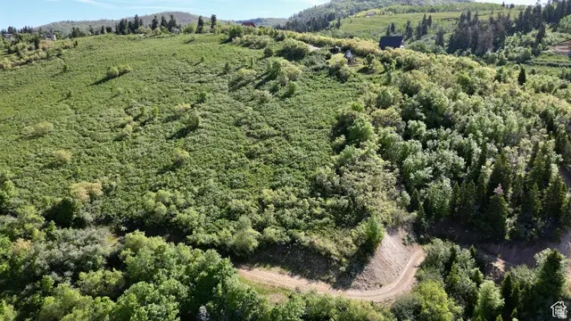 23206 N 14136 E #131, Fairview, UT 84629 - #1