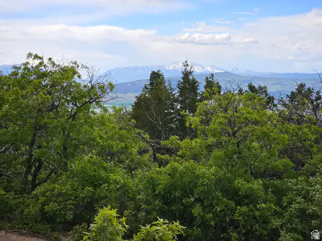 2 Whispering Pines Rd #2, Mount Pleasant, UT 84647 - #2