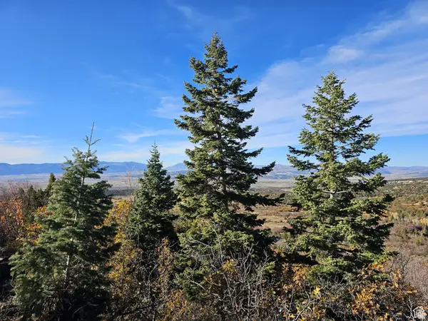 17 Pine Crest Dr, Mt Pleasant, UT 84647