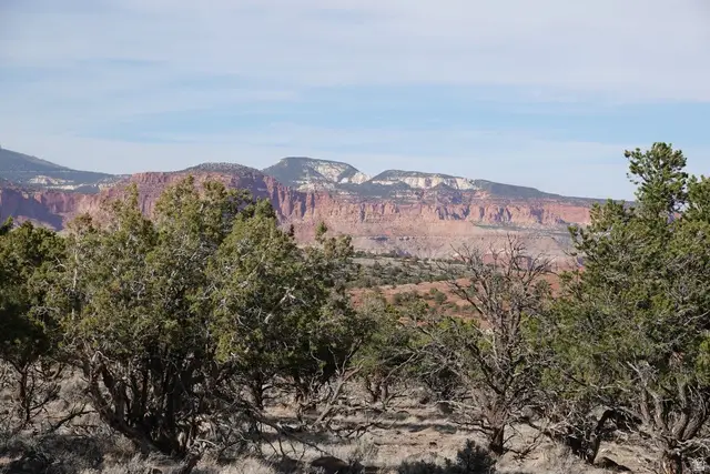 1115 E Donkey Flats Rd, Teasdale, UT 84773 - #1