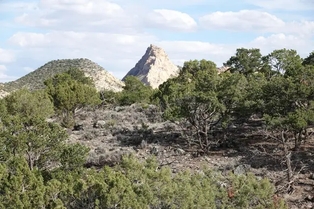 1115 E Donkey Flats Rd, Teasdale, UT 84773 - #2