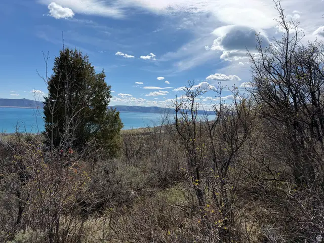 248 Hickock Dr #304, Fish Haven, ID 83287 - #1