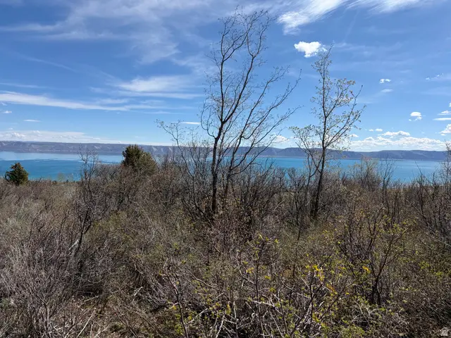 193 Hickock Dr #303, Fish Haven, ID 83287 - #2