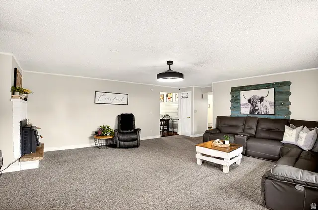 16 Old Oregon Rd, Soda Springs, ID 83276 - #3