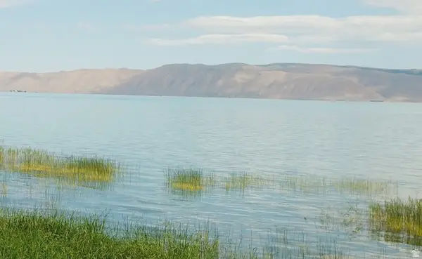 #4-N, Fish Haven, ID 83287