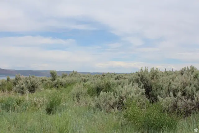 100 Lotus Dr #181, Fish Haven, ID 83287 - #3