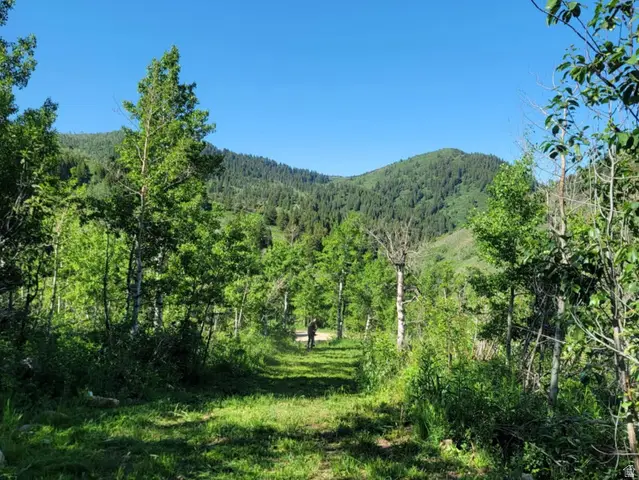 11607 Middle Fork Dr #SR16, Huntsville, UT 84317 - #2
