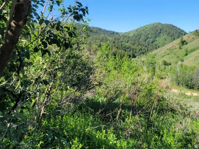 11607 Middle Fork Dr #SR16, Huntsville, UT 84317 - #3