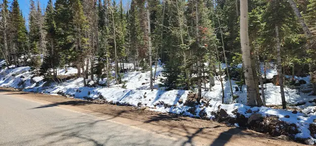 Address Withheld By Seller, Brian Head, UT 84719 - #2