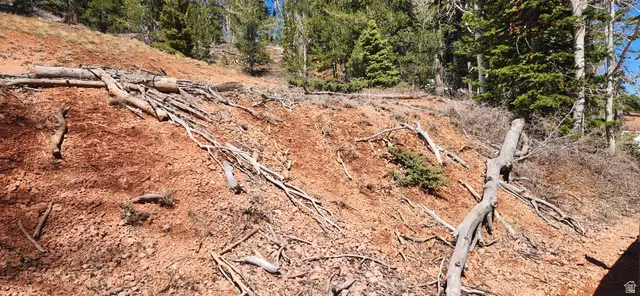 590 W Kokapelli, Brian Head, UT 84719 - #3