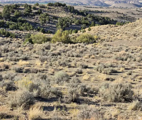 #379, Duchesne, UT 84021 - #3