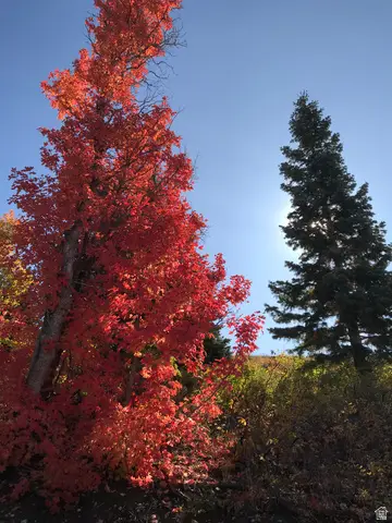 23465 N Thads Peak E #J27, Fairview, UT 84629 - #3