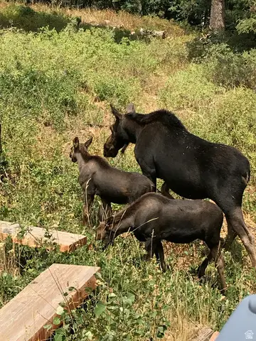 1456 W Navajo Rd, Wanship, UT 84017 - #3