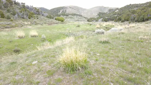 N Clear Springs Rd., Park Valley, UT 84329 - #1