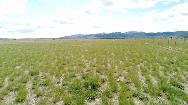 N Clear Springs Rd., Park Valley, UT 84329 - #2