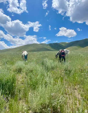 25 Stansbury Agricultural Propert #25, Grantsville, UT 84029