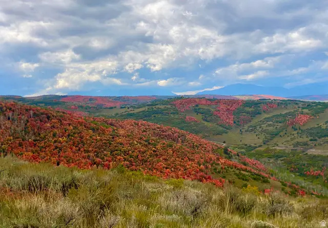 #1336, Woodland, UT 84036 - #1