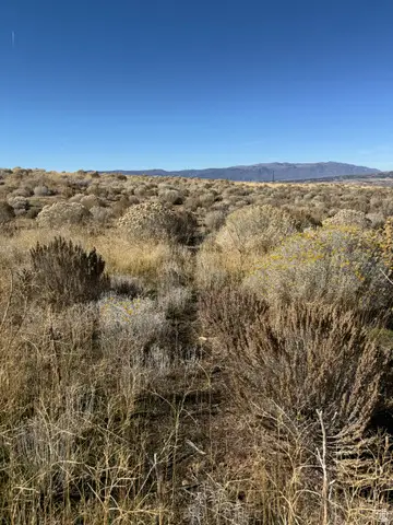 #3, Mount Pleasant, UT 84647 - #2