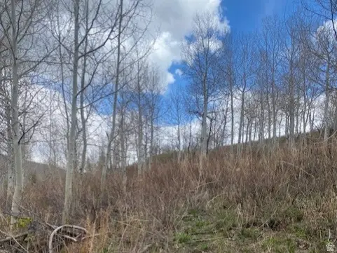 1117 W Arapaho Dr #D140A, Coalville, UT 84017 - #1