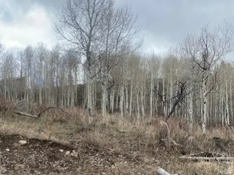 1117 W Arapaho Dr #D140A, Coalville, UT 84017 - #2