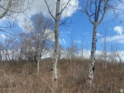 1117 W Arapaho Dr #D140A, Coalville, UT 84017 - #3