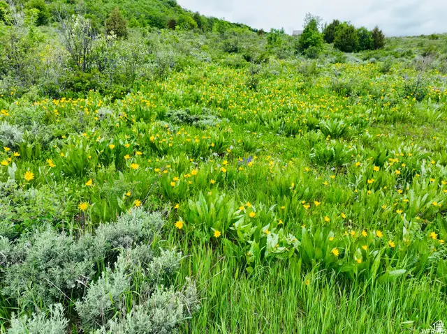 839 S Boosway Cir #61, Garden City, UT 84028 - #1