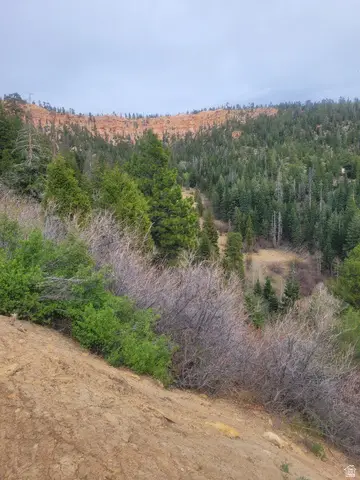 71 W Sky Hvn, Duck Creek Village, UT 84762 - #2