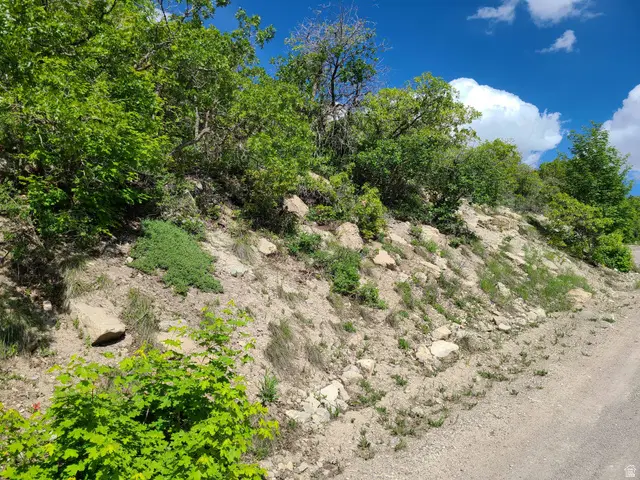 865 E Juniper Dr #865, Fairview, UT 84629 - #2