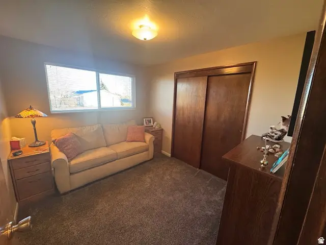 196 196 S Blue Moutnain Drivr, Monticello, UT 84535 - #3