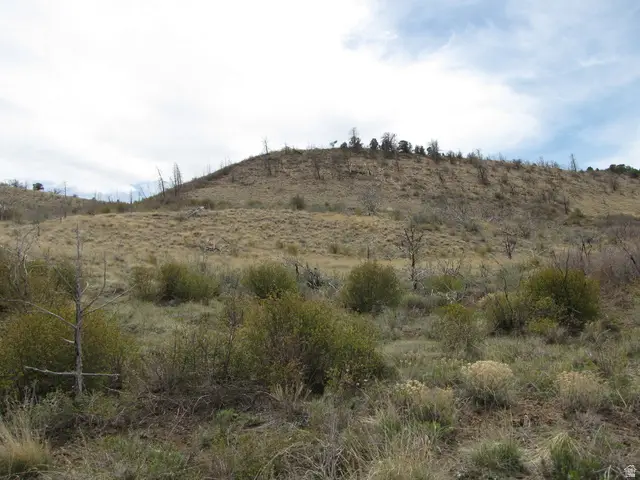 #238, Fruitland, UT 84027 - #3