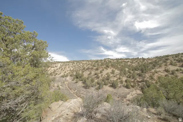 Address Withheld By Seller, Duchesne, UT 84021 - #1