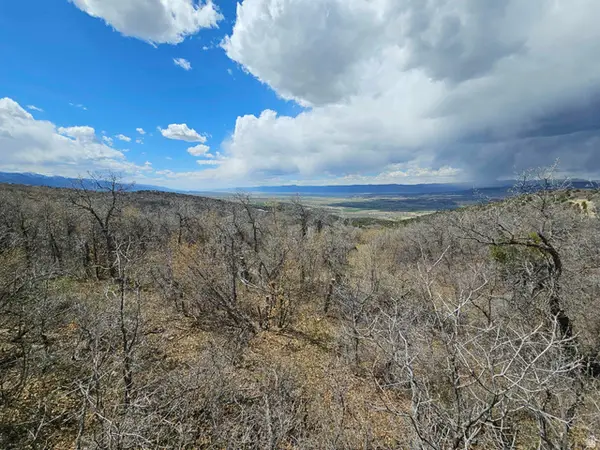 46 E Hawthorn Dr S #46, Fairview, UT 84629