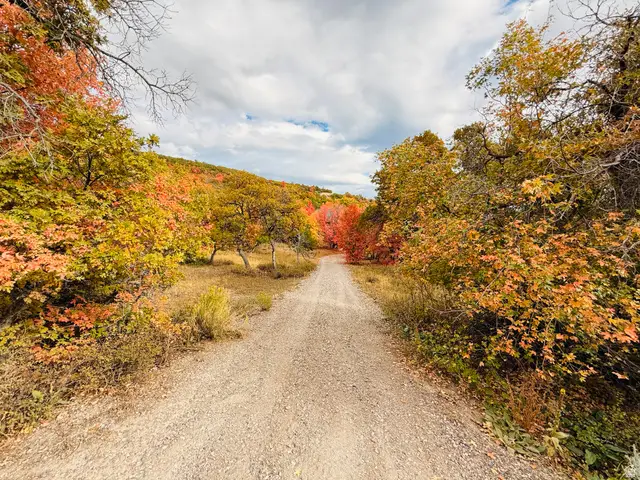 31 Juniper Dr #31, Fairview, UT 84629 - #2