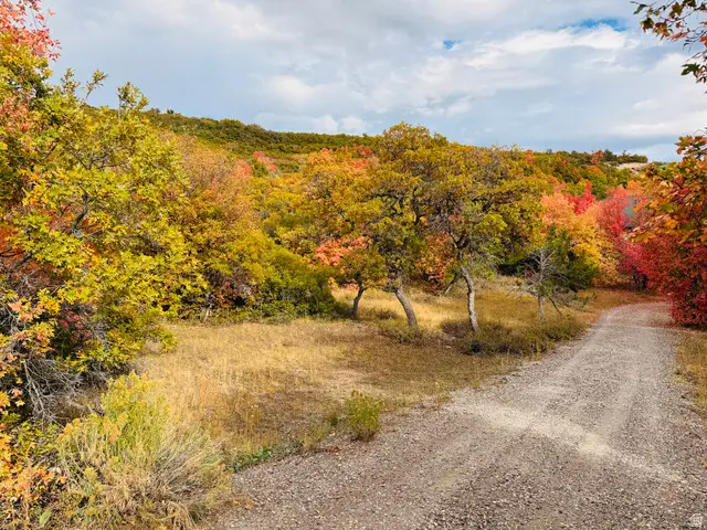 31 Juniper Dr #31, Fairview, UT 84629 - #3