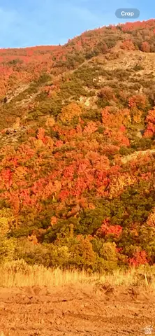 223 N Rock Loft Ridge Dr E #33-R, Fruit Heights, UT 84037 - #3