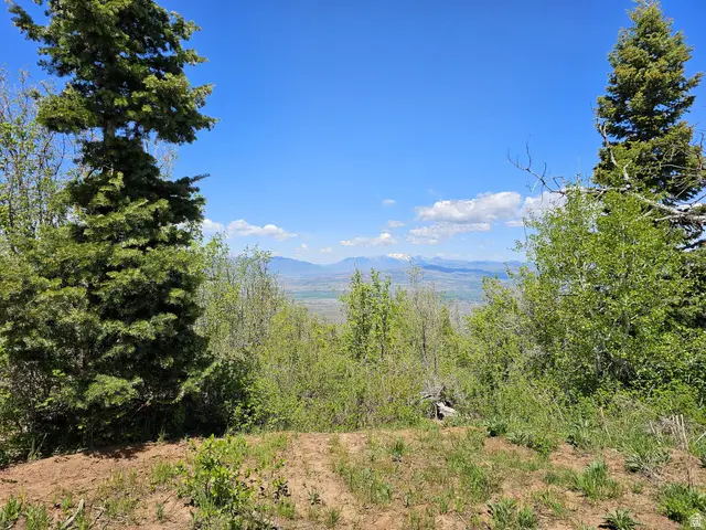 27 Pine Ridge Rd #27, Mount Pleasant, UT 84647 - #1