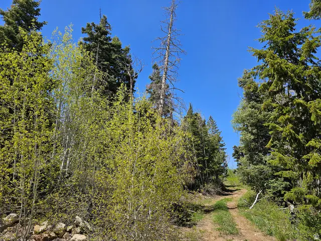 27 Pine Ridge Rd #27, Mount Pleasant, UT 84647 - #3