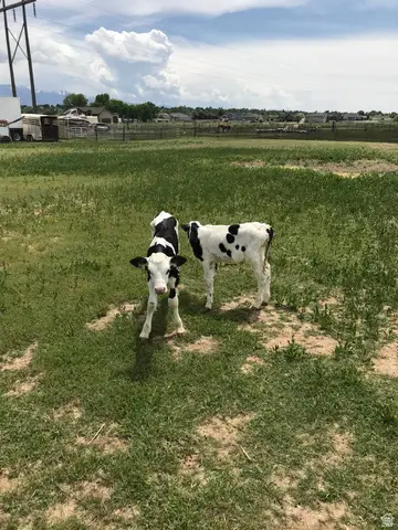 3041 W 3600 S, West Haven, UT 84401 - #2