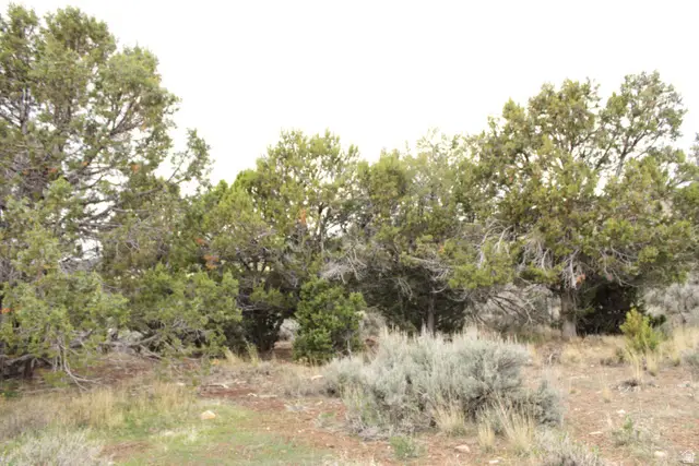 Address Withheld By Seller, Fairview, UT 84629 - #2