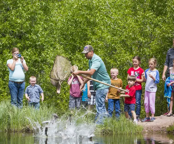 5866 150 Hwy #2-1, Coalville, UT 84017 - #2