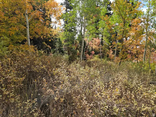 28 E Deer Valley Dr S #K28, Fairview, UT 84629 - #3